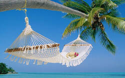 CESTOVNÁ KANCELÁRIA FIFO