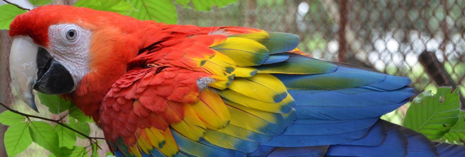 ZOOLOGICKÁ ZÁHRADA KOŠICE