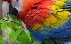 ZOOLOGICKÁ ZÁHRADA KOŠICE